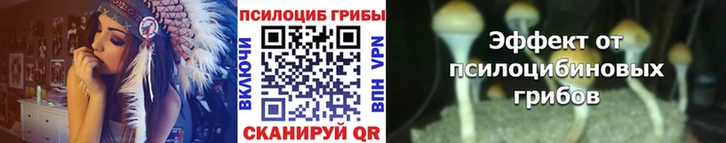 как найти   Кемерово  Псилоцибиновые грибы MAGIC MUSHROOMS 